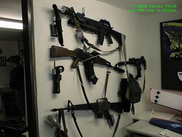 MyGuns.jpg